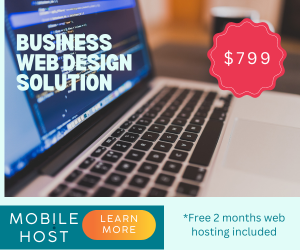 Business Web Design Solution | whois search blog
